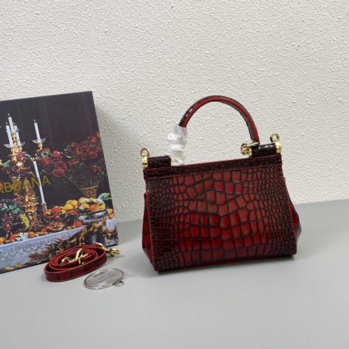 Replica Dolce & Gabbana AAA Quality Handbags For Women #1001668 $130.00 USD for Wholesale