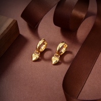 Bottega Veneta Earrings For Women #1005788