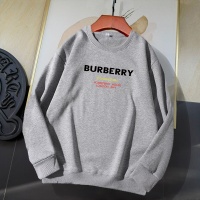 Burberry Hoodies Long Sleeved For Unisex #1180847