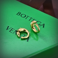Bottega Veneta Earrings For Women #1183559