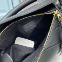 $115.00 USD LOEWE AAA Quality Messenger Bags For Women #1192005