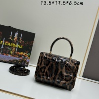 $160.00 USD Dolce & Gabbana AAA Quality Handbags For Women #1210622