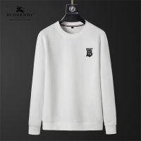 Burberry Hoodies Long Sleeved For Men #1240491