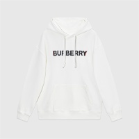 Burberry Hoodies Long Sleeved For Unisex #1241479