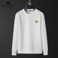 Burberry Hoodies Long Sleeved For Men #1246072