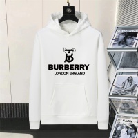 Burberry Hoodies Long Sleeved For Men #1246677