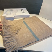 LOEWE Scarf #1255117