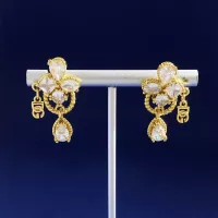 $29.00 USD Dolce & Gabbana D&G Earrings For Women #1270574