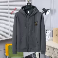 Burberry Hoodies Long Sleeved For Men #1271972