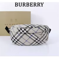 Burberry AAA Quality Belt Bags #1273380