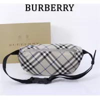 $102.00 USD Burberry AAA Quality Belt Bags #1273380