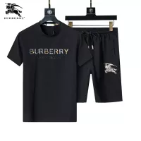 $48.00 USD Burberry Tracksuits Short Sleeved For Men #1294574