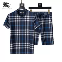 $48.00 USD Burberry Tracksuits Short Sleeved For Men #1294583