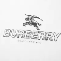 $29.00 USD Burberry T-Shirts Short Sleeved For Men #1299019