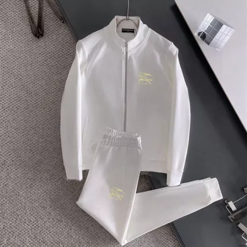 Burberry Tracksuits Long Sleeved For Men #1322896