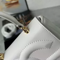 $170.00 USD Dolce & Gabbana AAA Quality Handbags For Women #1332999