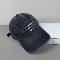 $27.00 USD Alexander Wang Caps #1333381