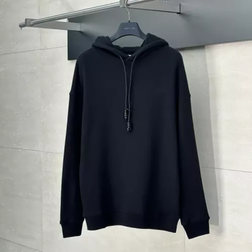 Replica LOEWE Hoodies Long Sleeved For Unisex #1350224, $85.00 USD, [ITEM#1350224], Replica LOEWE Hoodies outlet from China