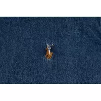 $56.00 USD Ralph Lauren Polo Jackets Long Sleeved For Unisex #1346384