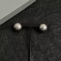 $38.00 USD Balenciaga Earrings For Women #1350918