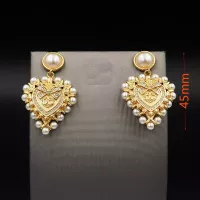 $29.00 USD Dolce & Gabbana D&G Earrings For Women #1351156