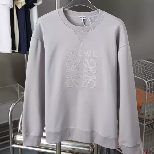 LOEWE Hoodies Long Sleeved For Unisex #1359886