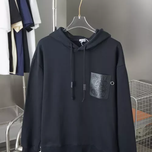 LOEWE Hoodies Long Sleeved For Unisex #1359889