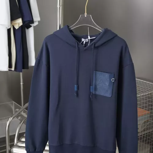 LOEWE Hoodies Long Sleeved For Unisex #1359890
