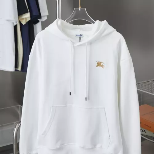 Burberry Hoodies Long Sleeved For Unisex #1359957
