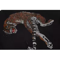 $64.00 USD Philipp Plein PP Jackets Long Sleeved For Men #1355437