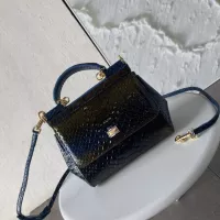 $115.00 USD Dolce & Gabbana AAA Quality Handbags For Women #1355919