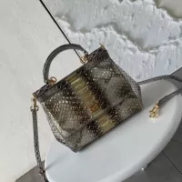 $115.00 USD Dolce & Gabbana AAA Quality Handbags For Women #1355924