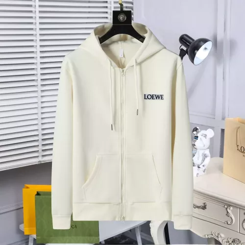 LOEWE Hoodies Long Sleeved For Unisex #1370244