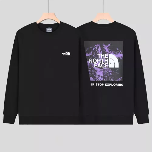 The North Face Hoodies Long Sleeved For Men #1370858