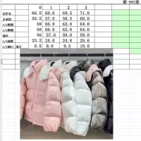 $160.00 USD Moncler Down Feather Coat Long Sleeved For Women #1371163