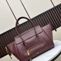 $102.00 USD Celine AAA Quality Handbags For Women #1372305