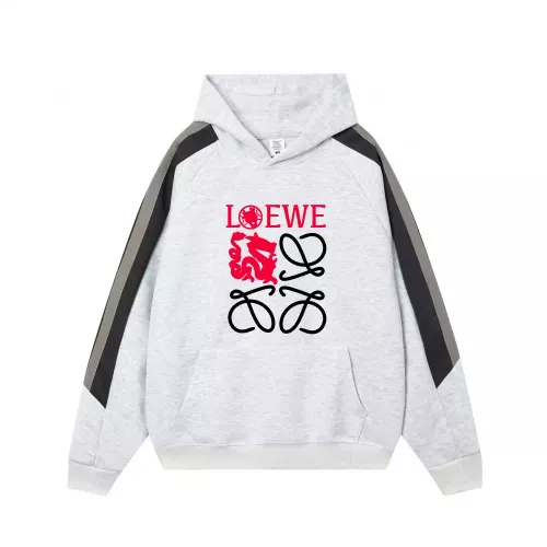 LOEWE Hoodies Long Sleeved For Men #1374865
