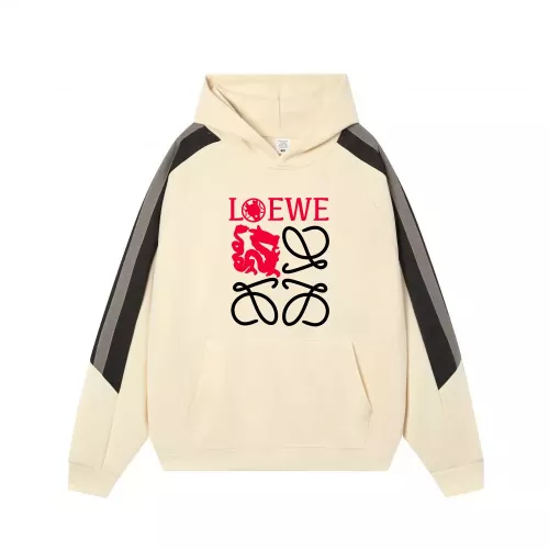 LOEWE Hoodies Long Sleeved For Men #1374866