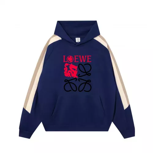 LOEWE Hoodies Long Sleeved For Men #1374867