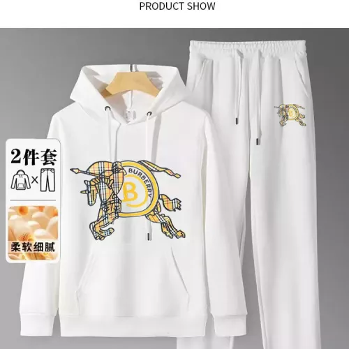 Burberry Tracksuits Long Sleeved For Men #1375073