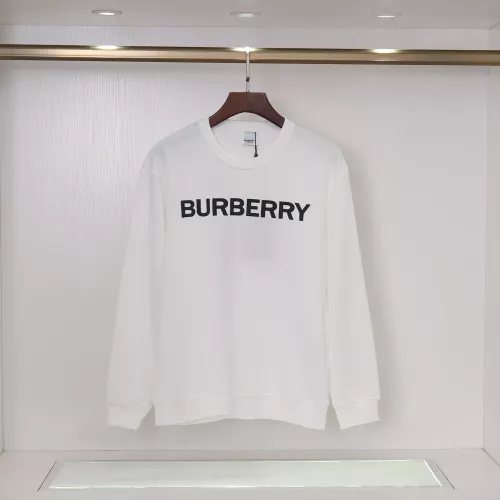 Burberry Hoodies Long Sleeved For Men #1376950