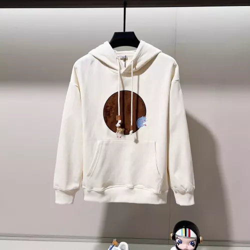 LOEWE Hoodies Long Sleeved For Unisex #1377099