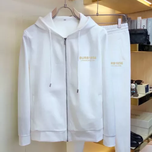 Burberry Tracksuits Long Sleeved For Men #1377355