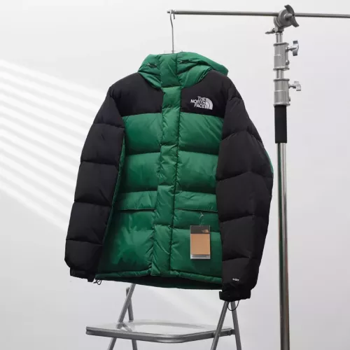 The North Face Down Feather Coat Long Sleeved For Unisex #1380270