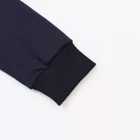 $52.00 USD Ralph Lauren Polo Hoodies Long Sleeved For Unisex #1380251