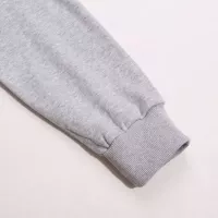 $52.00 USD Ralph Lauren Polo Hoodies Long Sleeved For Unisex #1380253