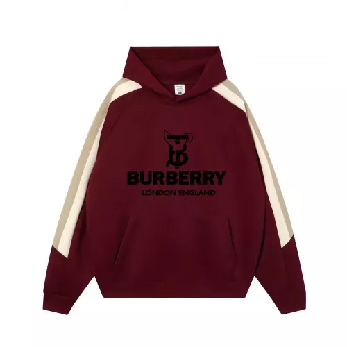 Burberry Hoodies Long Sleeved For Unisex #1383106