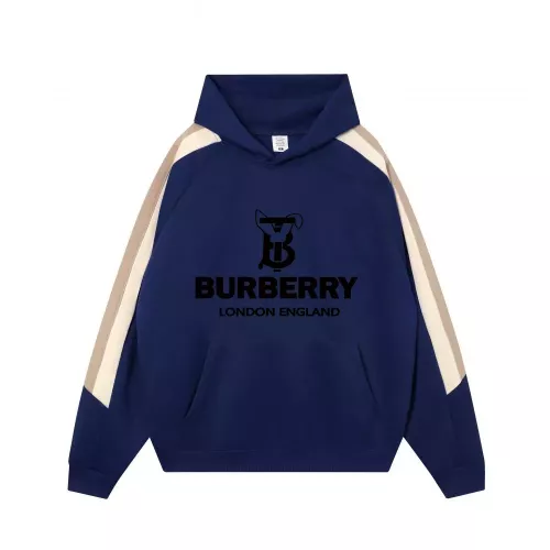 Burberry Hoodies Long Sleeved For Unisex #1383107