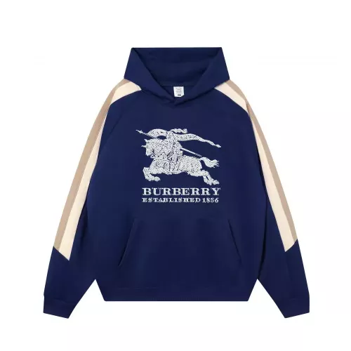 Burberry Hoodies Long Sleeved For Unisex #1383124
