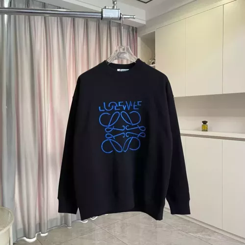 LOEWE Hoodies Long Sleeved For Unisex #1384326